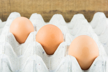 Close Up eggs in paper tray
