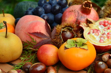 Naklejka na ściany i meble autumn fruits