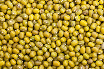 Mung bean background