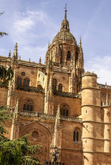 Fototapeta na wymiar One of the towers of the New Cathedral of Salamanca, Spain, UNES