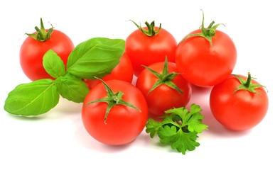 cherry tomatoes - obrazy, fototapety, plakaty
