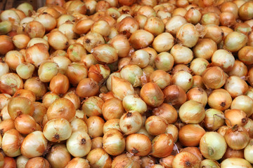 lot of onions