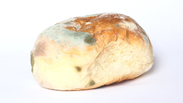 altes Br&ouml;tchen