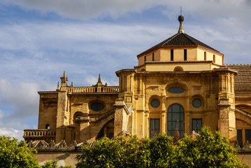 Fototapeta premium Mezquita (Mosque)/Cathedral bell tower, Cordoba, Cordoba Provinc