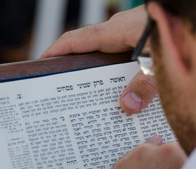 Reading the Book