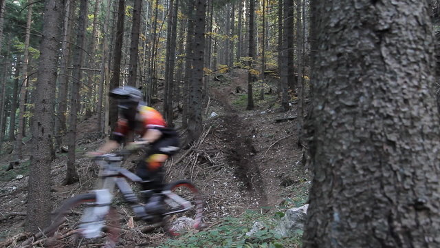 Mountain biker riding in wood
