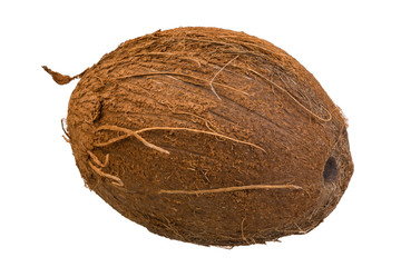 Coconut