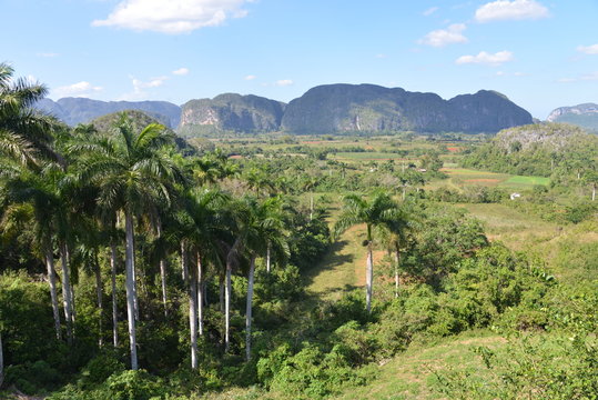 Valley of Vinales, Cuba