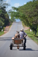 Horse carriage in Vinales, Cuba - 61488832