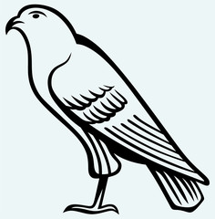 Eagle sketch isolated on blue background