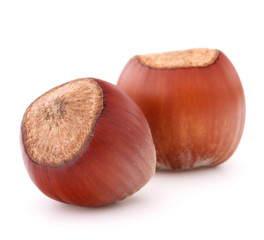 hazelnut or filbert nut isolated on white background cutout