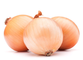 Gold onion vegetable bulbs