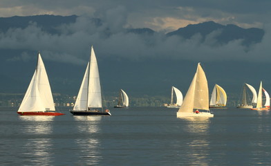 Sailboat race by sunset