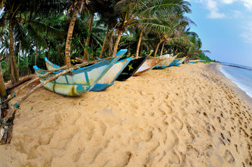 Obraz na płótnie Canvas Sri Lanka - spiaggia di Mirissa - barche tipiche