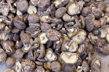 Shiitake Mushrooms