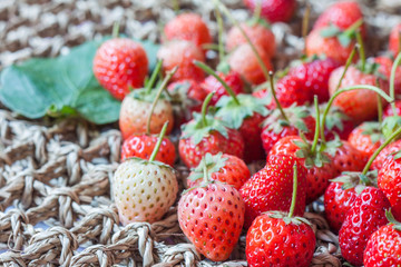 Fresh red ripe strawberries