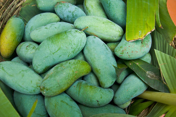 Fresh green mango in basket