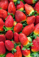 Background of ripe strawberries