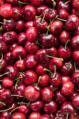 Freshly picked heap of cherries