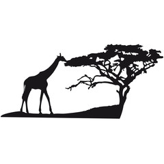 Fototapeta na wymiar Afrika Baum Giraffe Landschaft Fressen Savanne