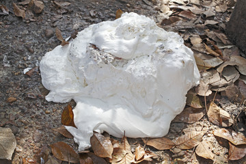 Natural rubber in farm
