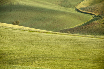 Toscana, colline attorno a Siena