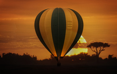 Balloon safari