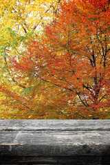 Picnic table on autumn