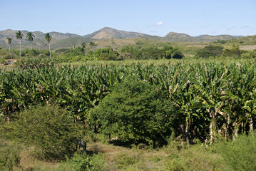 Countryside, Valley of the Ingenios, Cuba
