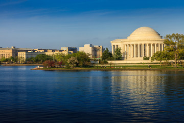 the Jefferson Memorial during the Cherry Blossom Festival in DC