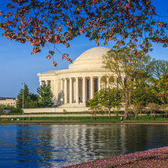 the Jefferson Memorial during the Cherry Blossom Festival in DC