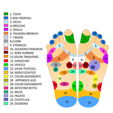 Reflexology