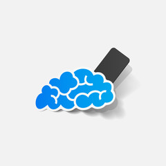 realistic design element: brain, rectangle, seam