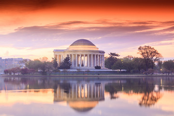 Obraz premium the Jefferson Memorial during the Cherry Blossom Festival in DC
