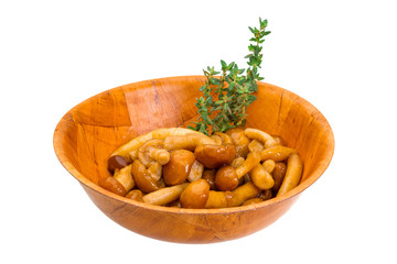 Armillaria
