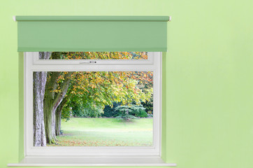 View of autumn trees from a  window