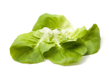 Lettuce Leafs - Photo