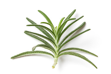 Fototapeta premium Rosemary Leafs