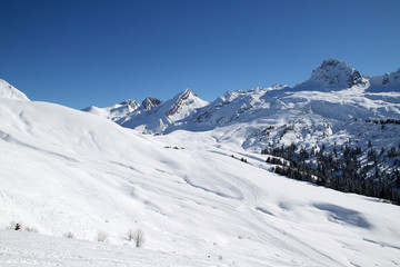 Fototapeta na wymiar Grand Bornand - Montagne