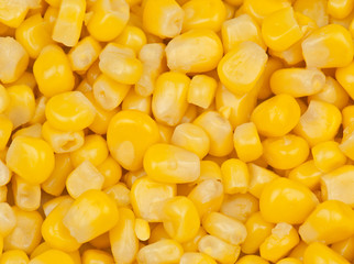 corn texture