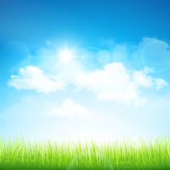 Green grass and blue sky. Vector
