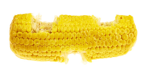Cornstick corn on the cob isolated © exopixel