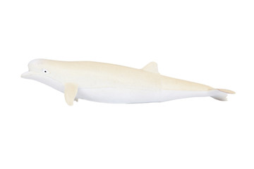 Dolphin toy isolated on white background
