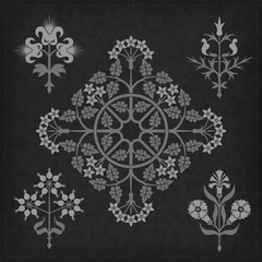 Set of vector ornaments.