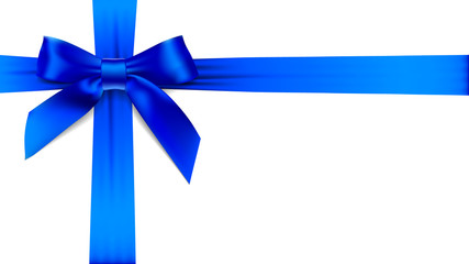 Blue bow