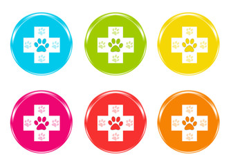 Obraz premium Set of colorful icons with veterinary symbol