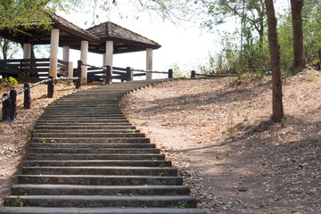 Obraz premium pathway