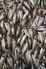 Horse mackerels on a street fish bazaar stand in Istanbul, Turke