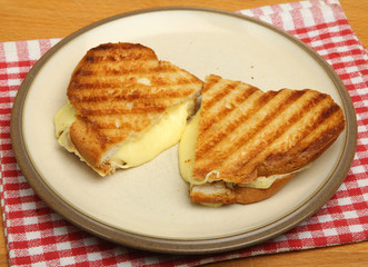 Toasted Cheese Sandwich