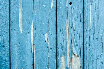 blue wooden boards background